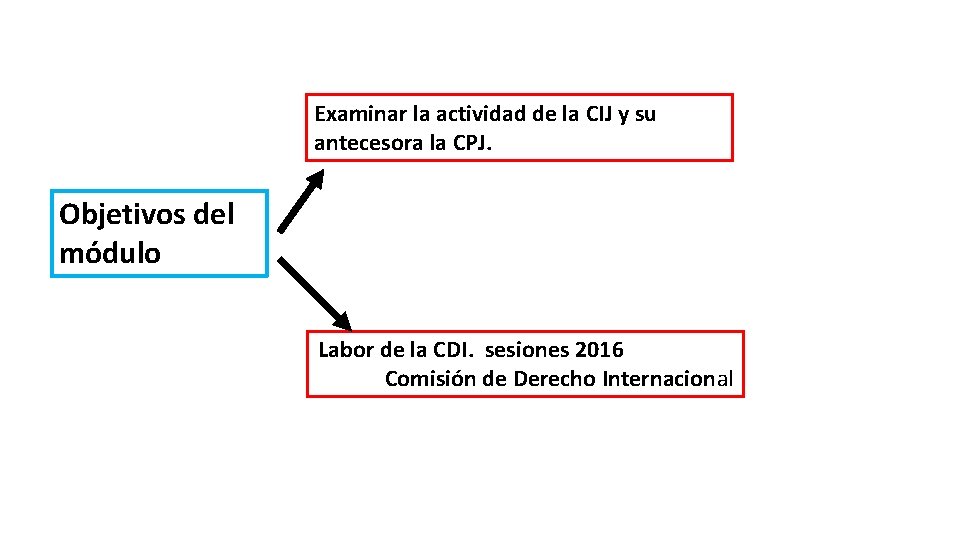 Examinar la actividad de la CIJ y su antecesora la CPJ. Objetivos del módulo