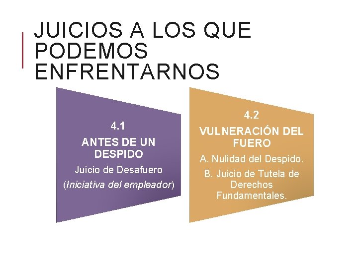 JUICIOS A LOS QUE PODEMOS ENFRENTARNOS 4. 1 ANTES DE UN DESPIDO Juicio de