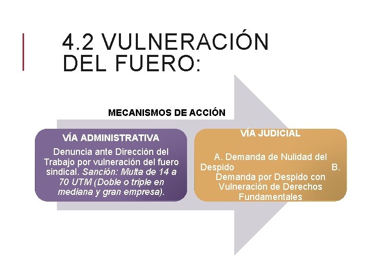 4. 2 VULNERACIÓN DEL FUERO: MECANISMOS DE ACCIÓN VÍA ADMINISTRATIVA Denuncia ante Dirección del