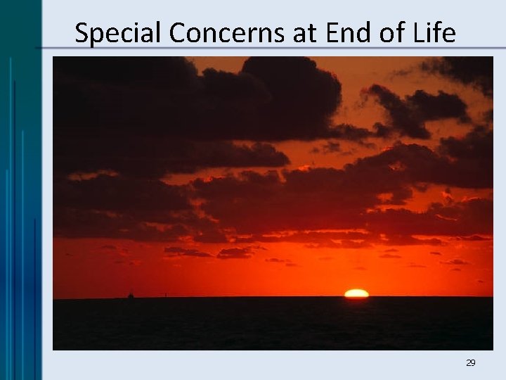 Special Concerns at End of Life 29 