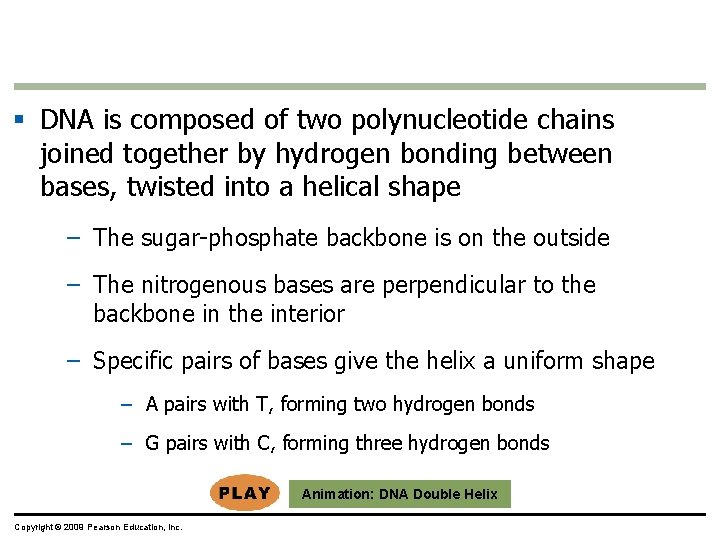 § DNA is composed of two polynucleotide chains joined together by hydrogen bonding between