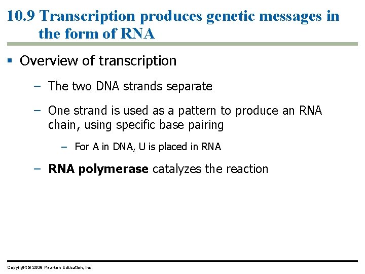 10. 9 Transcription produces genetic messages in the form of RNA § Overview of