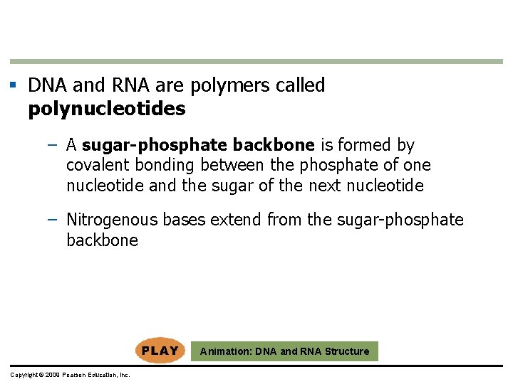 § DNA and RNA are polymers called polynucleotides – A sugar-phosphate backbone is formed