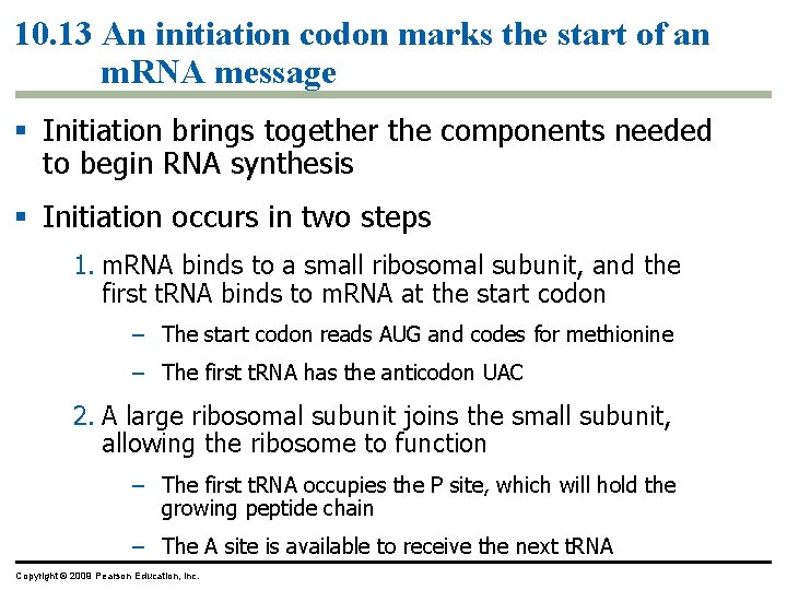 10. 13 An initiation codon marks the start of an m. RNA message §