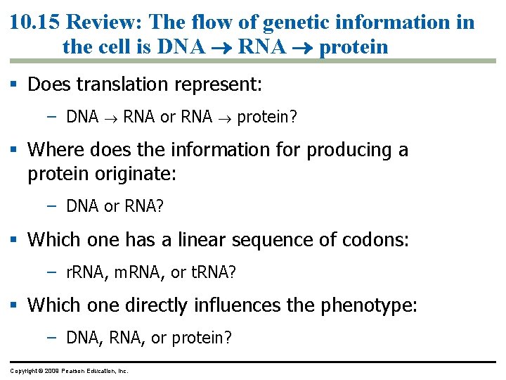 10. 15 Review: The flow of genetic information in the cell is DNA RNA