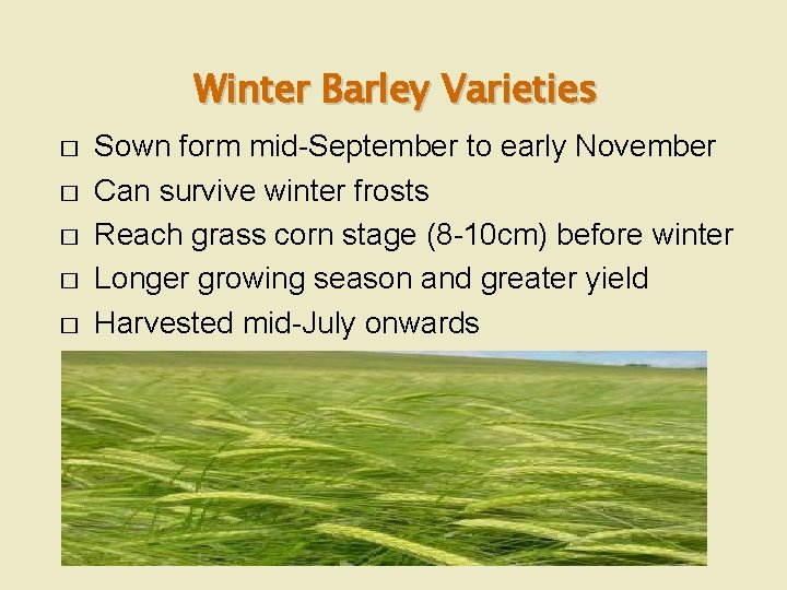 Winter Barley Varieties � � � Sown form mid-September to early November Can survive