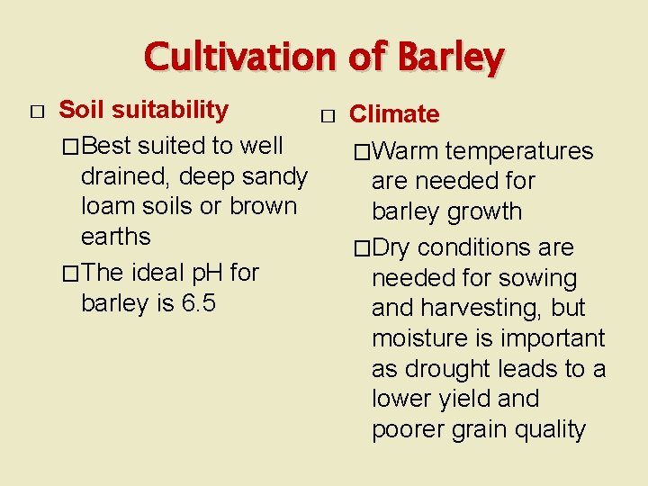 Cultivation of Barley � Soil suitability � Climate �Best suited to well �Warm temperatures