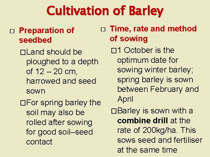 Cultivation of Barley � � Preparation of seedbed �Land should be ploughed to a