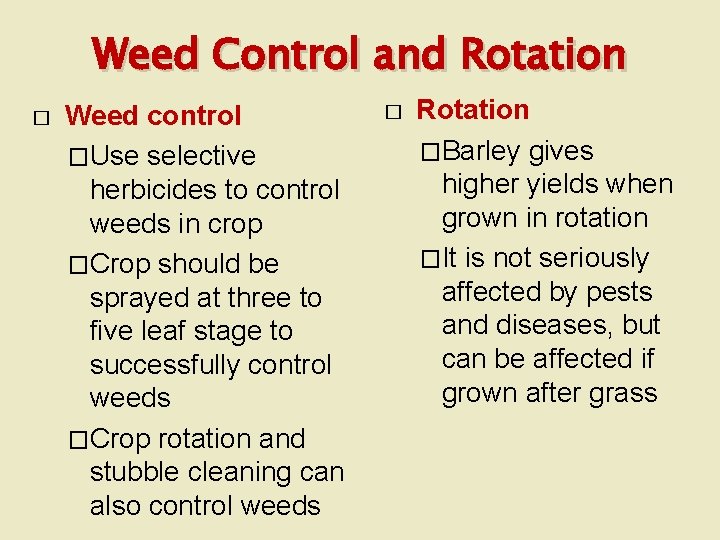 Weed Control and Rotation � Weed control �Use selective herbicides to control weeds in