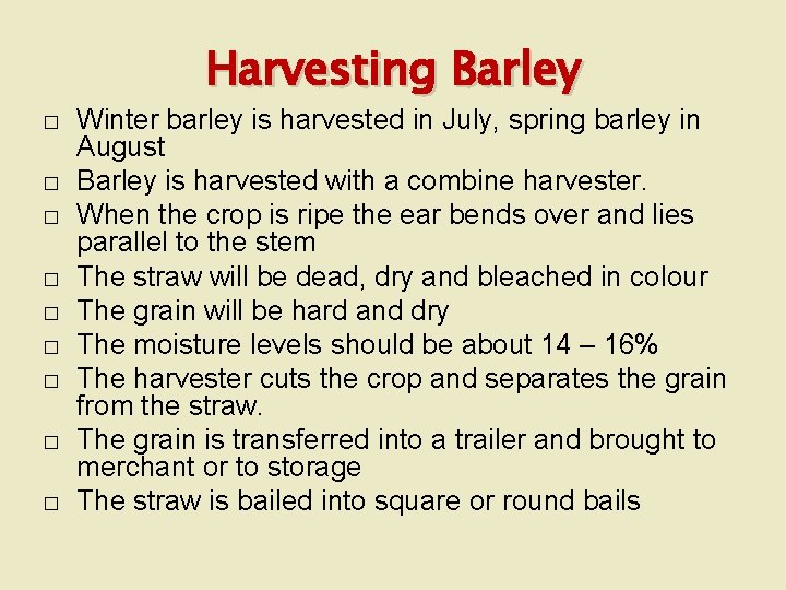 Harvesting Barley � � � � � Winter barley is harvested in July, spring