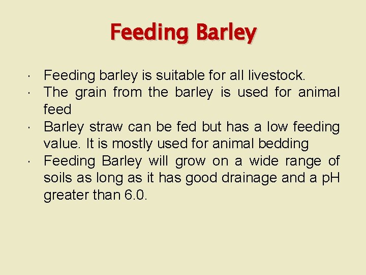 Feeding Barley Feeding barley is suitable for all livestock. The grain from the barley