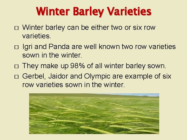 Winter Barley Varieties � � Winter barley can be either two or six row