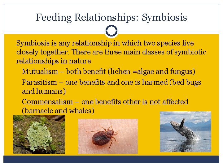 Feeding Relationships: Symbiosis is any relationship in which two species live closely together. There