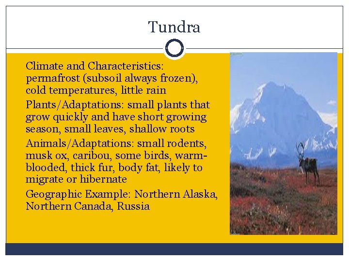 Tundra Climate and Characteristics: permafrost (subsoil always frozen), cold temperatures, little rain Plants/Adaptations: small