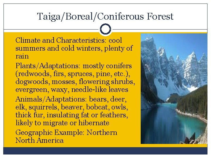 Taiga/Boreal/Coniferous Forest Climate and Characteristics: cool summers and cold winters, plenty of rain Plants/Adaptations: