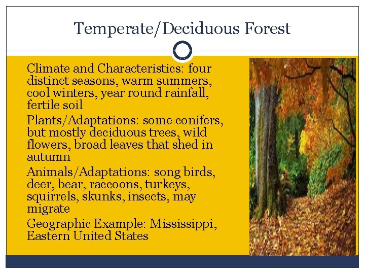 Temperate/Deciduous Forest Climate and Characteristics: four distinct seasons, warm summers, cool winters, year round