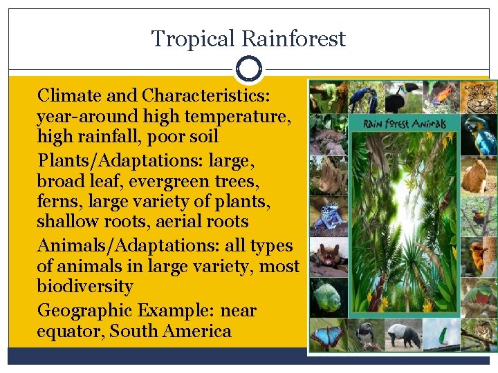 Tropical Rainforest Climate and Characteristics: year-around high temperature, high rainfall, poor soil Plants/Adaptations: large,