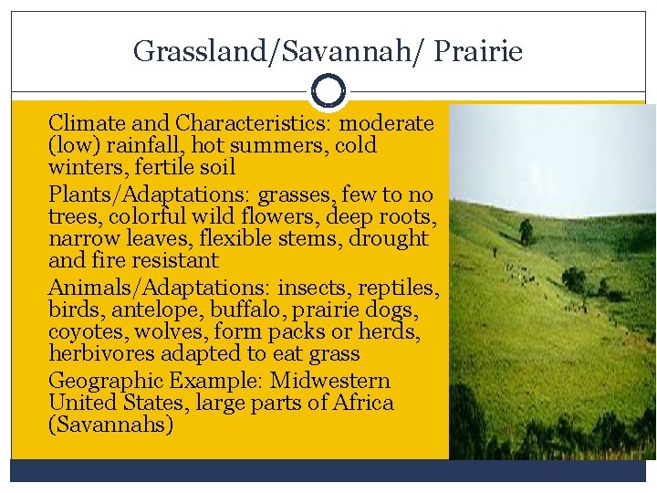 Grassland/Savannah/ Prairie Climate and Characteristics: moderate (low) rainfall, hot summers, cold winters, fertile soil