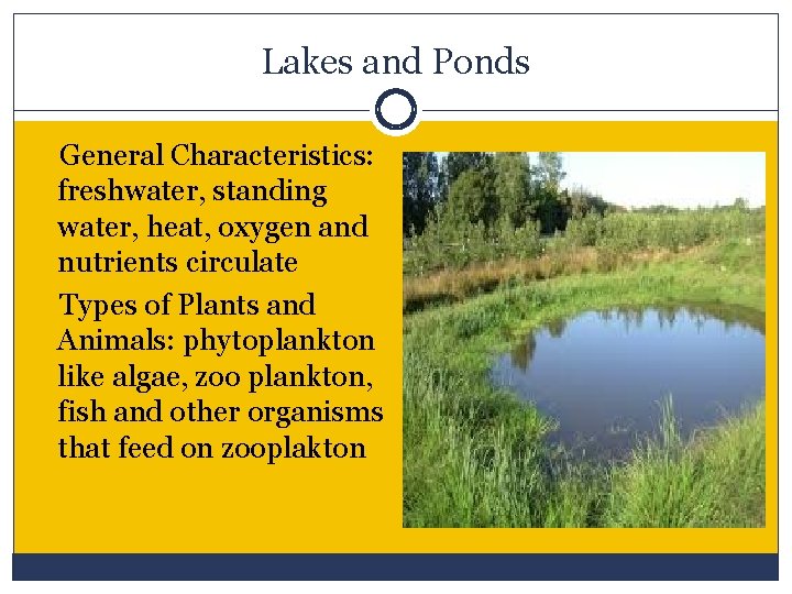 Lakes and Ponds General Characteristics: freshwater, standing water, heat, oxygen and nutrients circulate Types