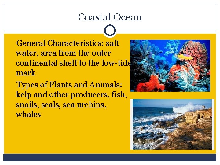 Coastal Ocean General Characteristics: salt water, area from the outer continental shelf to the