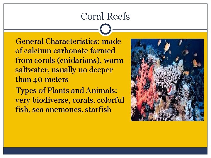Coral Reefs General Characteristics: made of calcium carbonate formed from corals (cnidarians), warm saltwater,