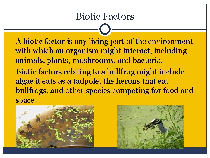 Biotic Factors A biotic factor is any living part of the environment with which