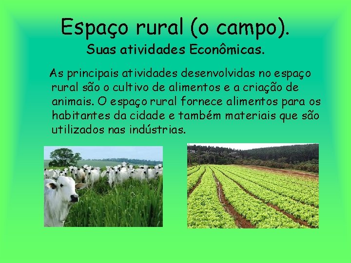 Espaço rural (o campo). Suas atividades Econômicas. As principais atividades desenvolvidas no espaço rural