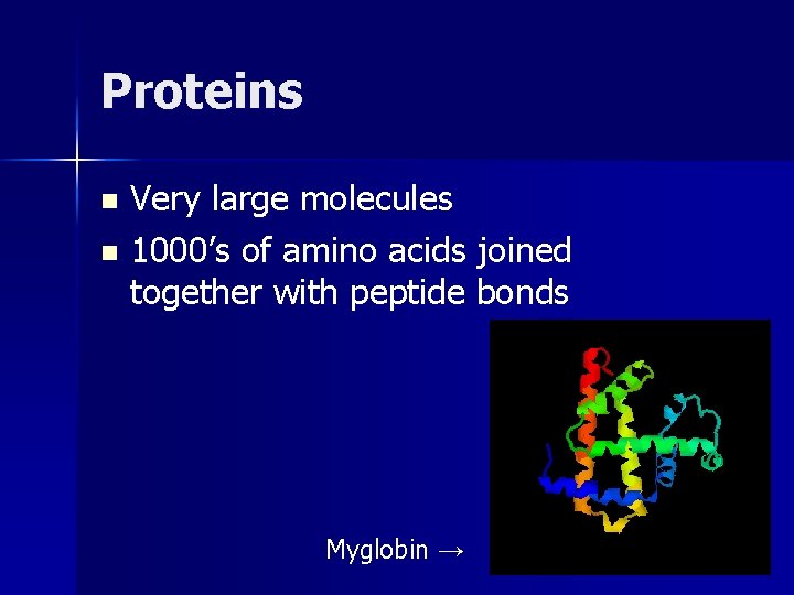 Proteins Very large molecules n 1000’s of amino acids joined together with peptide bonds