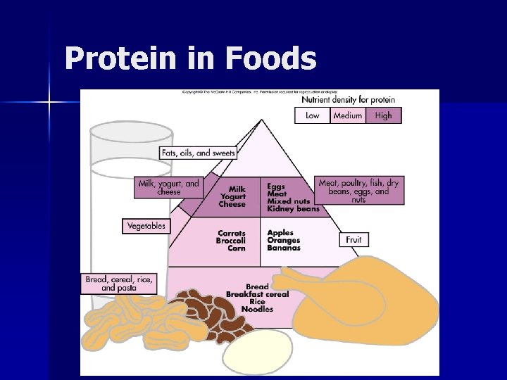 Protein in Foods 