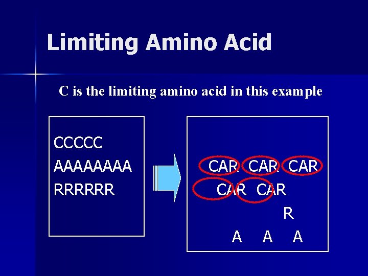 Limiting Amino Acid C is the limiting amino acid in this example CCCCC AAAA