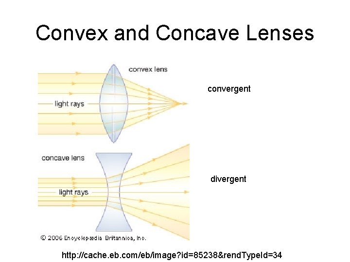 Convex and Concave Lenses convergent divergent http: //cache. eb. com/eb/image? id=85238&rend. Type. Id=34 