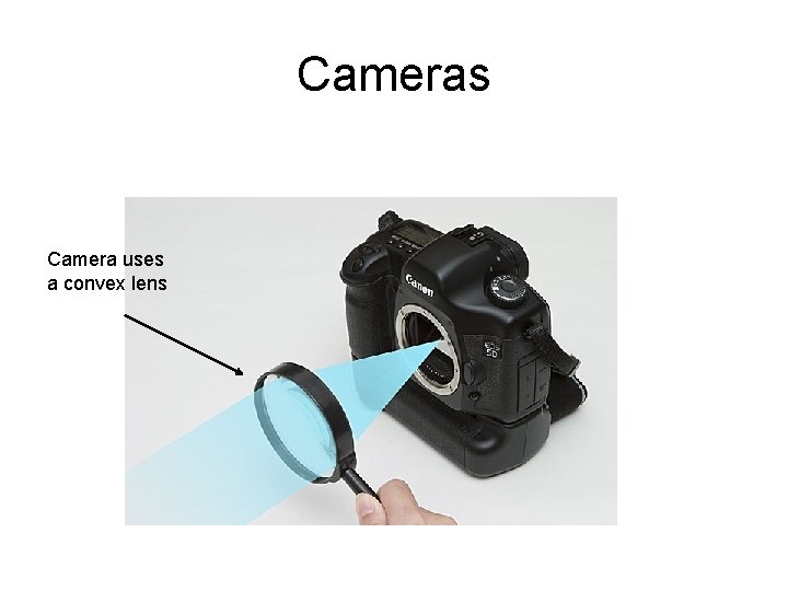 Cameras Camera uses a convex lens 