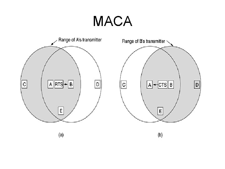MACA MACA