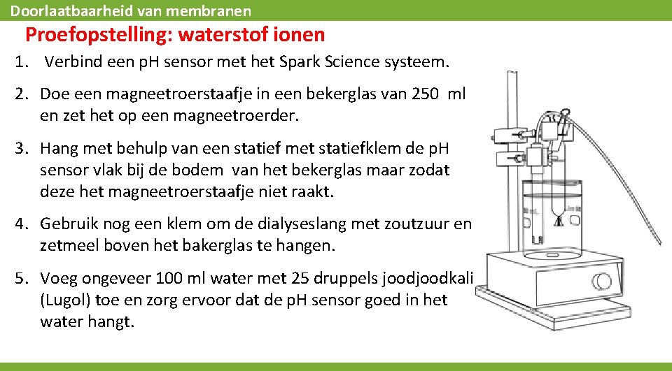 Doorlaatbaarheid van membranen Proefopstelling: waterstof ionen 1. Verbind een p. H sensor met het