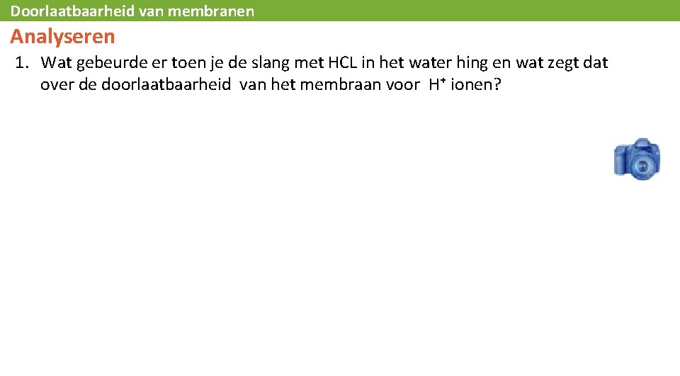 Doorlaatbaarheid van membranen Analyseren 1. Wat gebeurde er toen je de slang met HCL