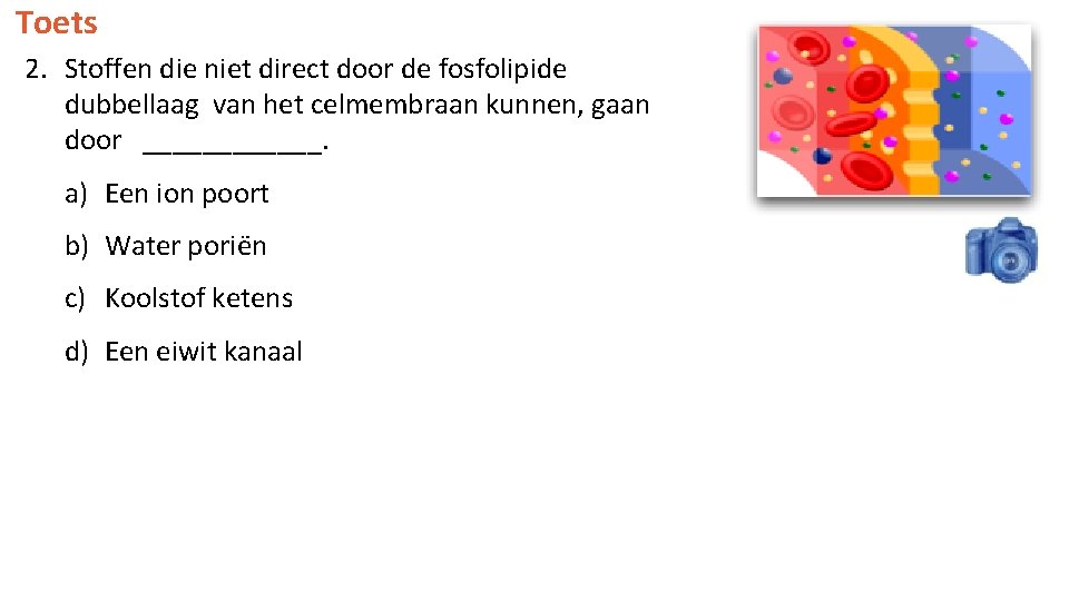 Toets 2. Stoffen die niet direct door de fosfolipide dubbellaag van het celmembraan kunnen,