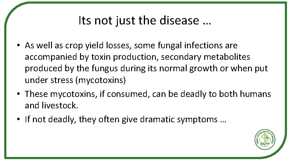 Its not just the disease … • As well as crop yield losses, some