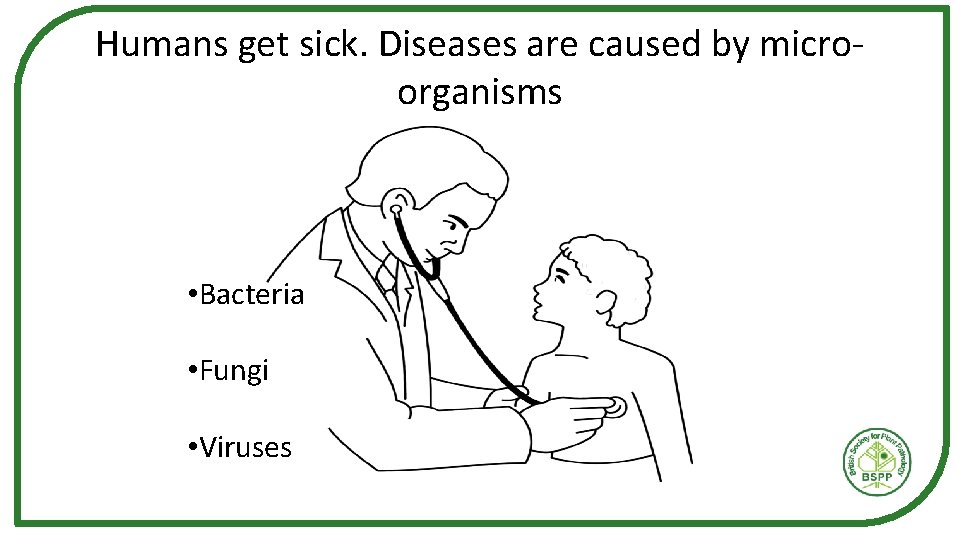 Humans get sick. Diseases are caused by microorganisms • Bacteria • Fungi • Viruses