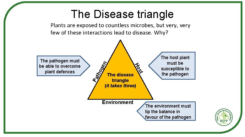 The Disease triangle ge Pa tho The disease triangle (it takes three) Environment st