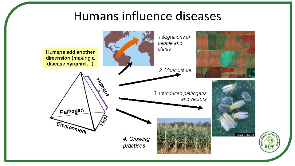 Humans influence diseases 1. Migrations of people and plants Humans add another dimension (making