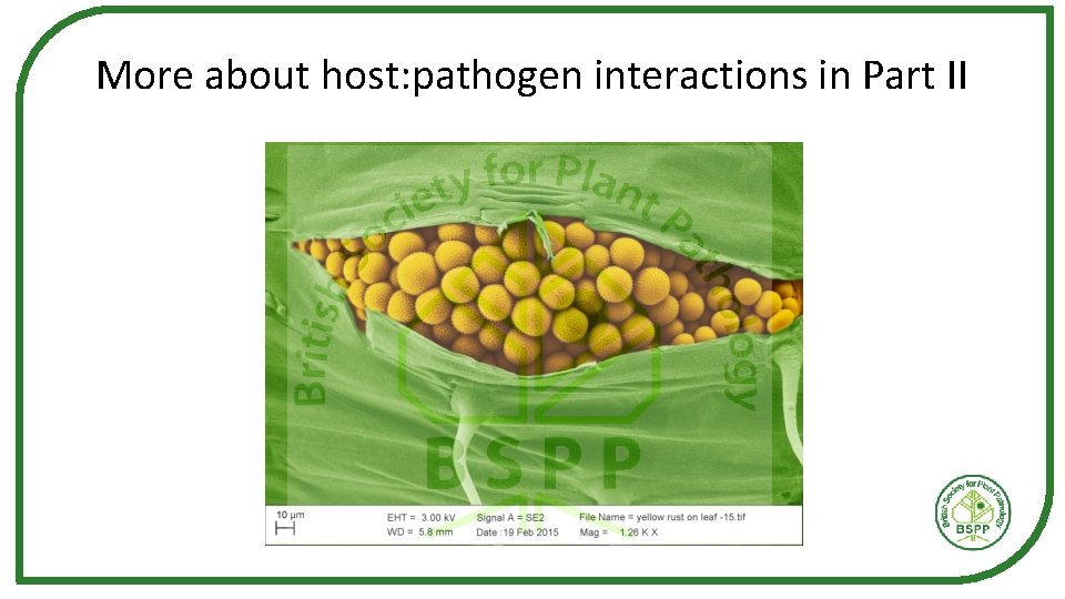 More about host: pathogen interactions in Part II 