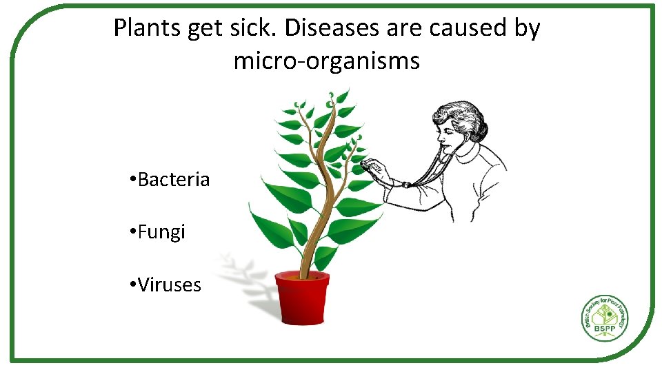 Plants get sick. Diseases are caused by micro-organisms • Bacteria • Fungi • Viruses