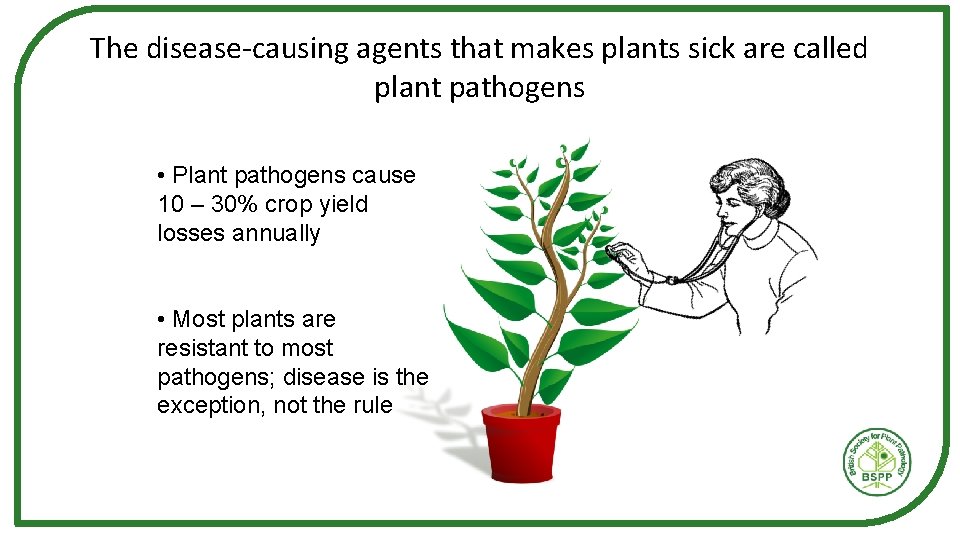 The disease-causing agents that makes plants sick are called plant pathogens • Plant pathogens