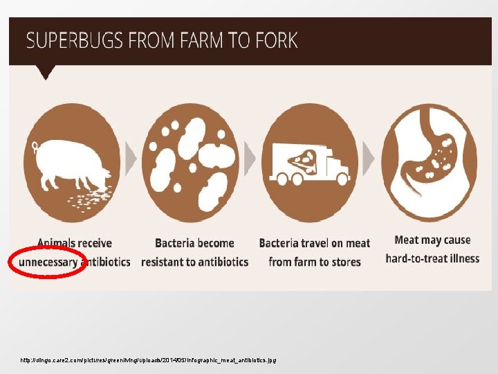 http: //dingo. care 2. com/pictures/greenliving/uploads/2014/05/Infographic_meat_antibiotics. jpg 