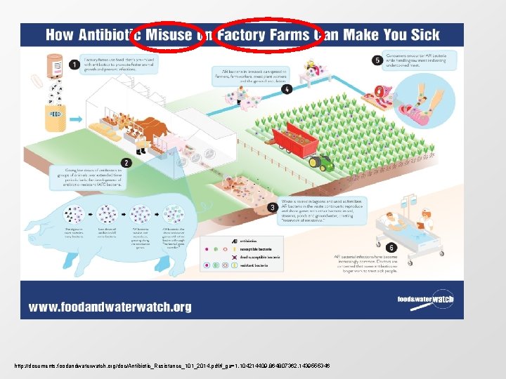 http: //documents. foodandwaterwatch. org/doc/Antibiotic_Resistance_101_2014. pdf#_ga=1. 104214409. 864807362. 1439555346 