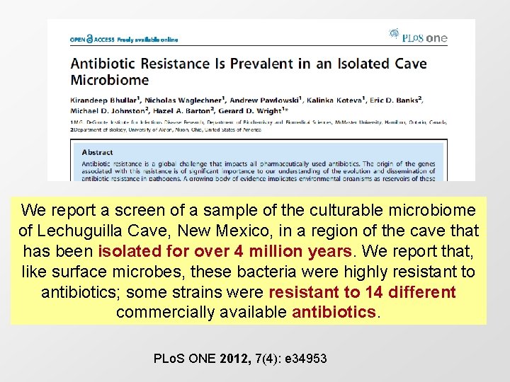 We report a screen of a sample of the culturable microbiome of Lechuguilla Cave,