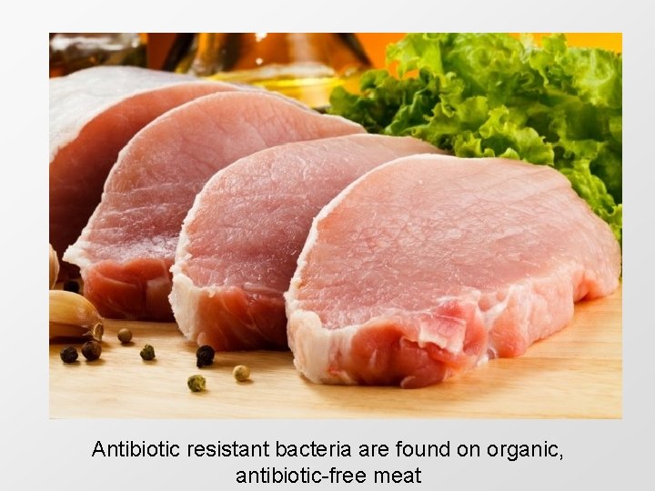 Antibiotic resistant bacteria are found on organic, antibiotic-free meat 