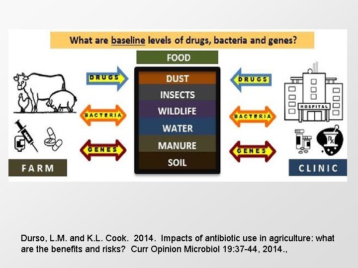 Durso, L. M. and K. L. Cook. 2014. Impacts of antibiotic use in agriculture: