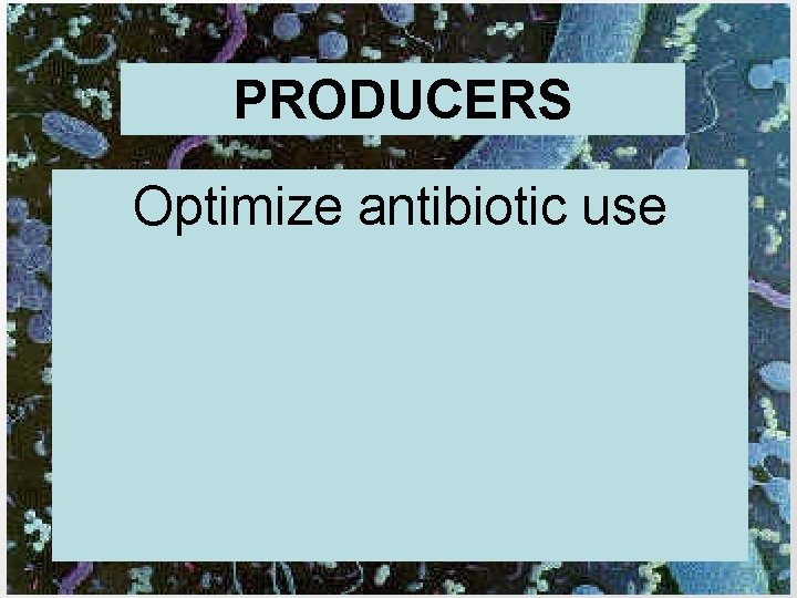 PRODUCERS Optimize antibiotic use 