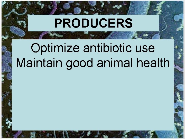PRODUCERS Optimize antibiotic use Maintain good animal health 